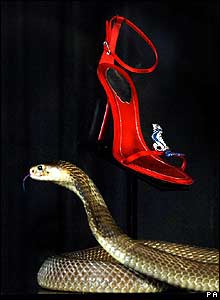 Cobra Guards Sandal