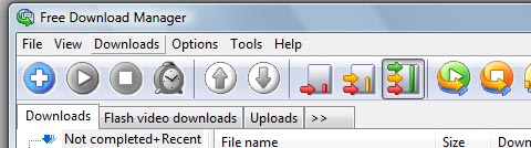 Free Download Manager 2.5